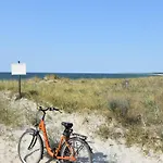 In * Zingst
