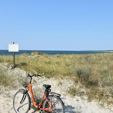 In * Zingst
