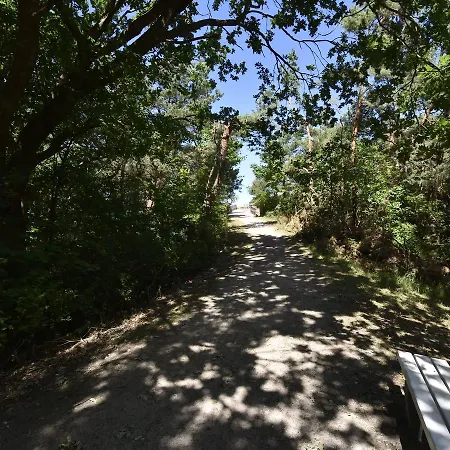 In * Zingst